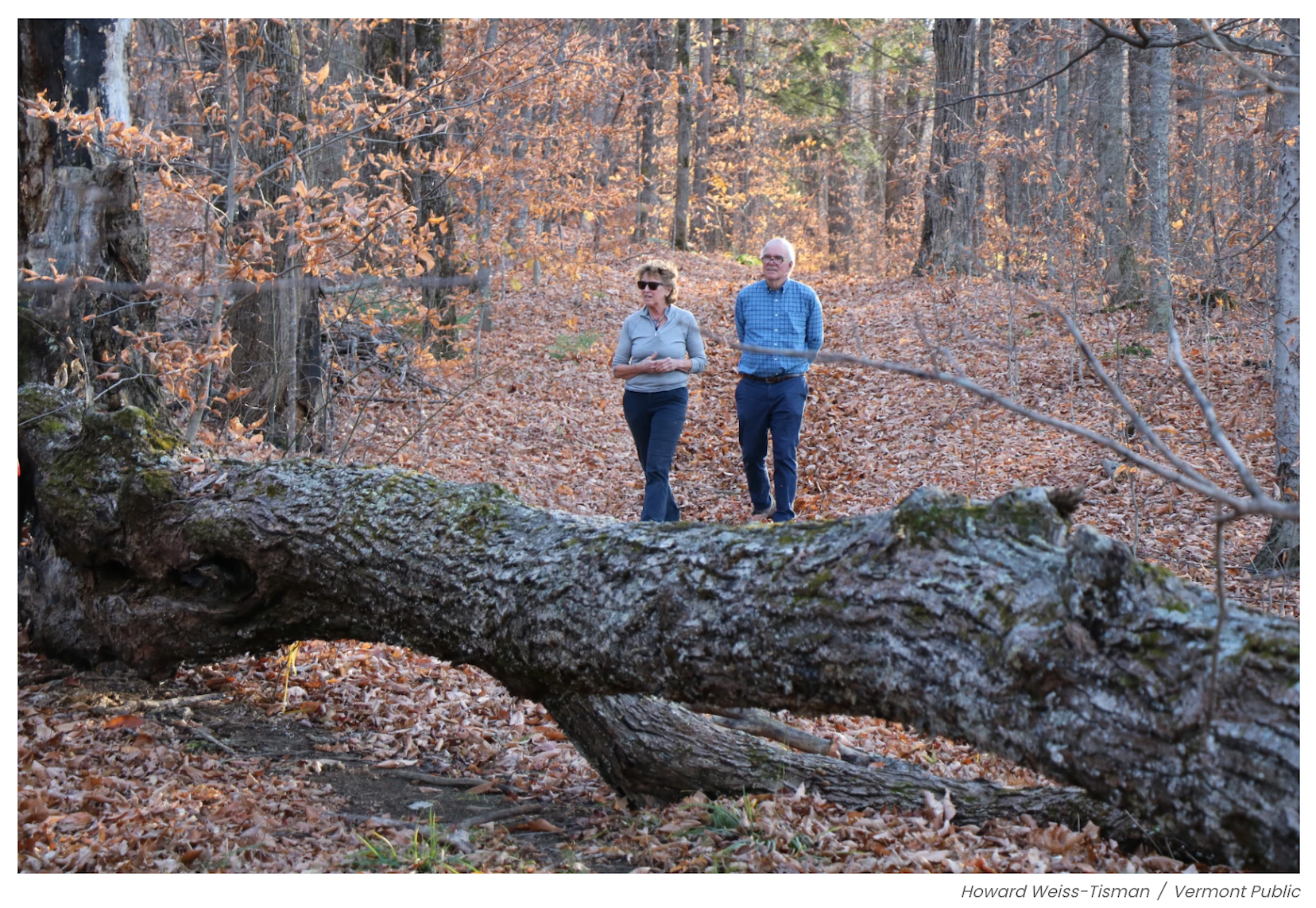 Dispute over Legal Town Trail in Tunbridge, VT (Vermont Public coverage and more)