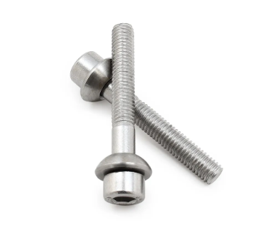 Paul Tall & Handsome 	Seatpost Bolt & Washer Kit (qty 2 screws and conical washers)