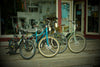LVRT Rental Fleet (used bike sale)