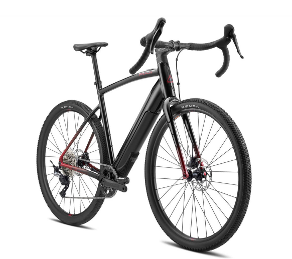 Fuji E-Jari